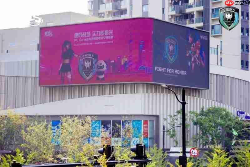 掠夺者见证「DCG」夺冠,PLGirls打通职业与国际双赛道