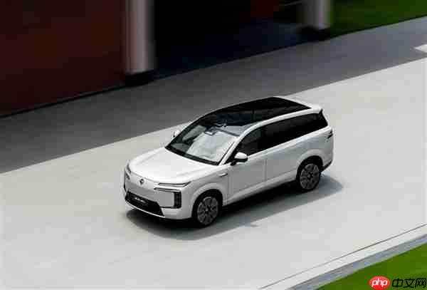 腾势N8L上市后小程序被挤崩 腾势总经理回应:低估了大家的热情