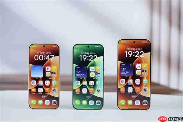 小米手机6.3/6.6/6.9三种尺寸哪个最受欢迎 结果很意外