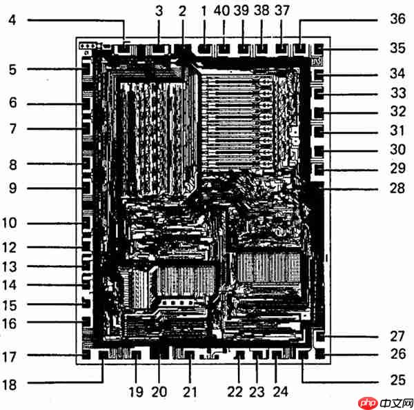 AMD首款CPU 50年了逆向工程克隆Intel 8080:成本50美分卖700美元