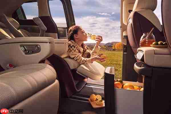 配60升大油箱 小鹏X9增程版内饰公开：全车用4.2米进口真木