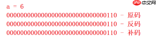 C语言操作符详解