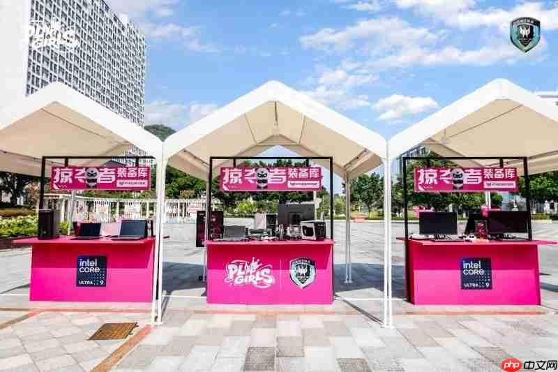 PLGirls掠夺者校园电竞女神联赛究竟是怎么火出圈的?