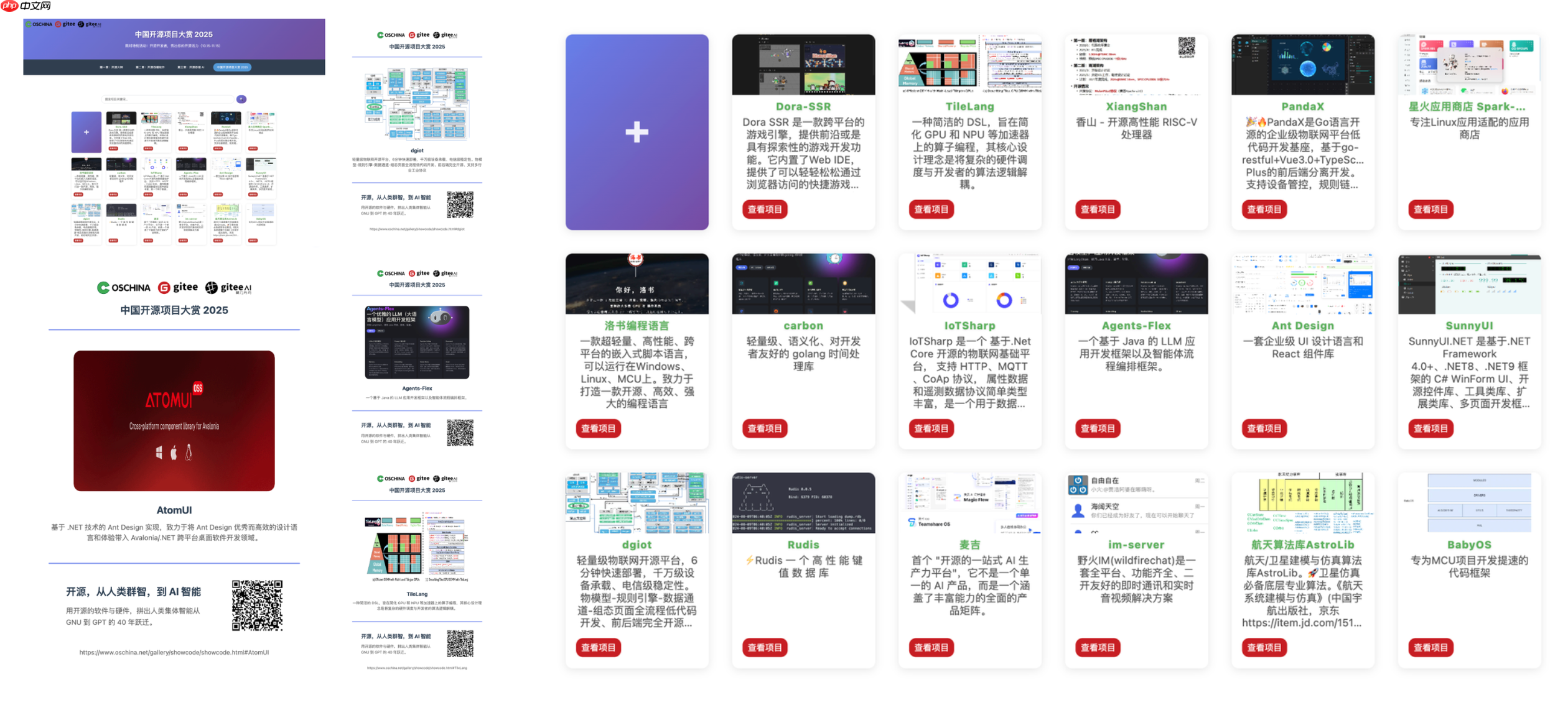 来，秀出你的开源活力！中国开源项目大赏 2025 上线