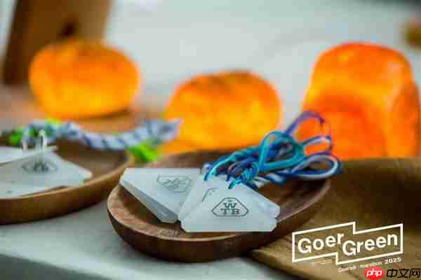 “变废为美”点亮运动与环保之约 歌尔WTB 亮相歌尔·2025潍坊马拉松