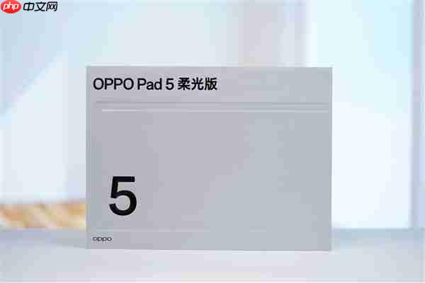 破300万分丝滑板王！OPPO Pad 5图赏