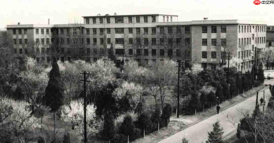 图文并茂,3 分钟看完“小破邮”的 70 年发展史