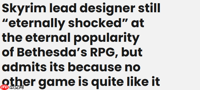 《上古卷轴5》首席设计师:14年经久不衰因不制约玩家行动