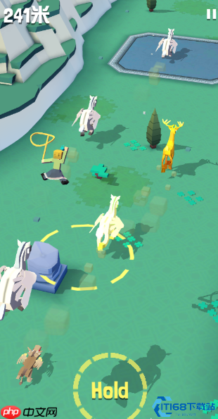 龙鹰驯服终极指南：翱翔天际的霸主捕捉全攻略