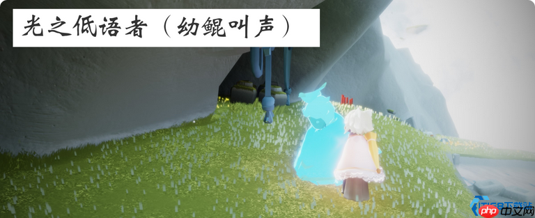 聆听风中的歌谣:飞翔季鸟鸣先祖全收集指南