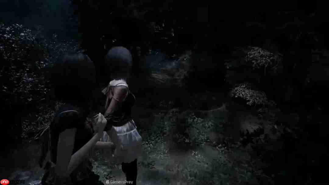 《零红蝶：重制版》新实机演示 姐妹牵手探索