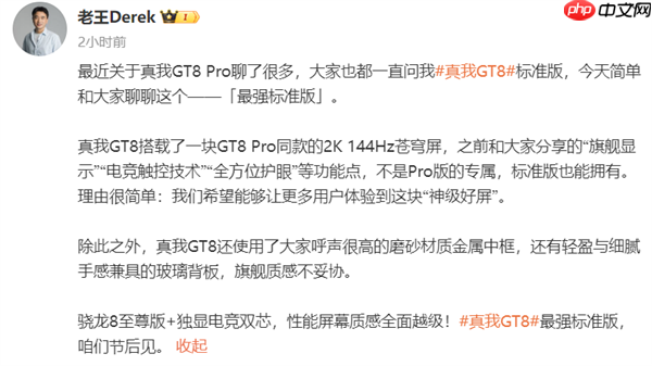 真我GT8标准版正式官宣 徐起:挑战最强标准版