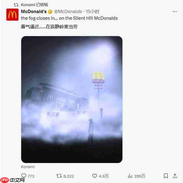 “梦里都是开心乐园餐!” 麦当劳疑似联动《寂静岭》