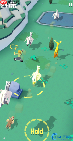 龙鹰捕捉大师课:从领地建设到空中征服终极指南