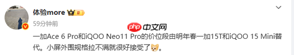 曝iQOO明年将发布iQOO 15 mini机型 对手一加和小米？