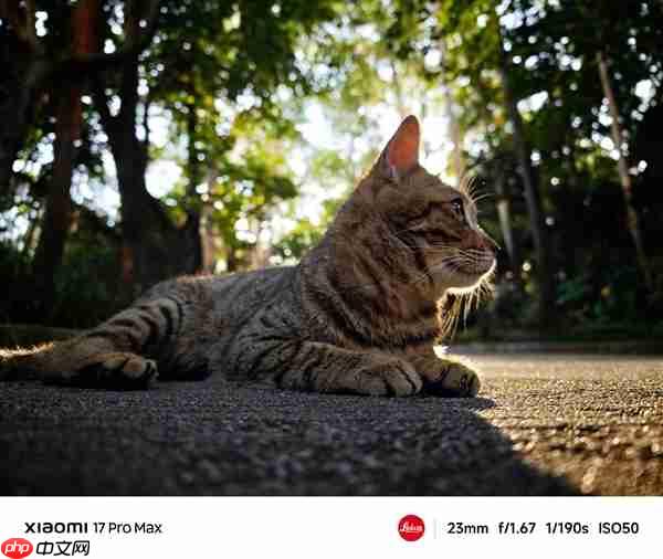 小米17系列全系搭载光学镀膜大满贯:抗鬼影、发雾、炫光