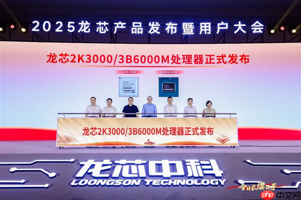 龙芯3B6000M入选国家安全可靠最高等级Ⅱ级!“三剑客”一齐登顶