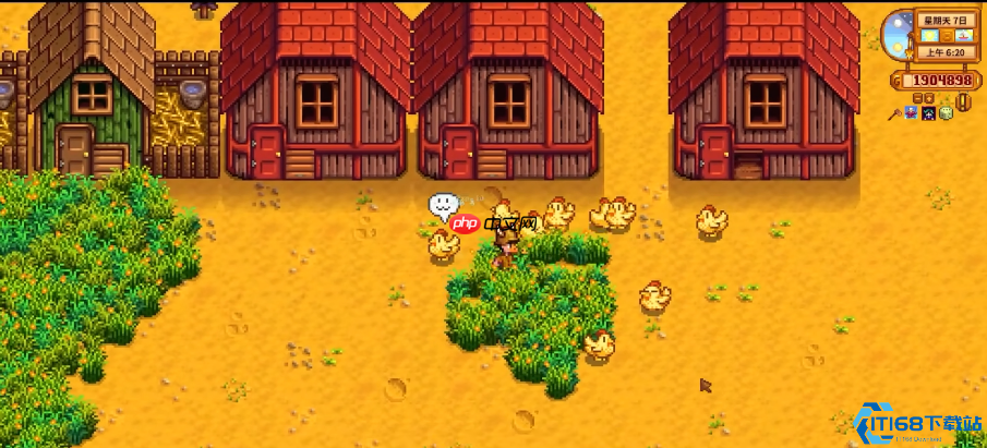 金鸡蛋完全攻略：三大获取途径与终极养殖指南