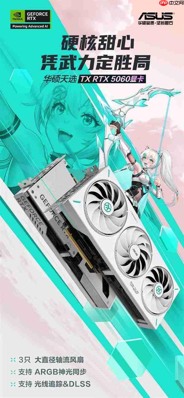 华硕RTX5060显卡轻松玩转《空洞骑士:丝之歌》