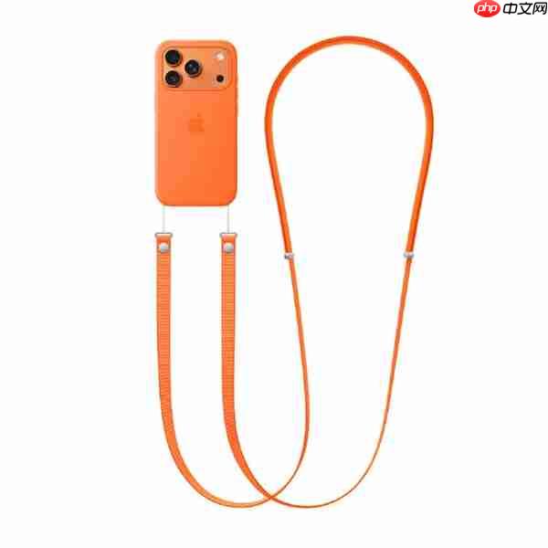 果粉回击吐槽都是买不起的!苹果再回应479元挂绳太贵:市场决定