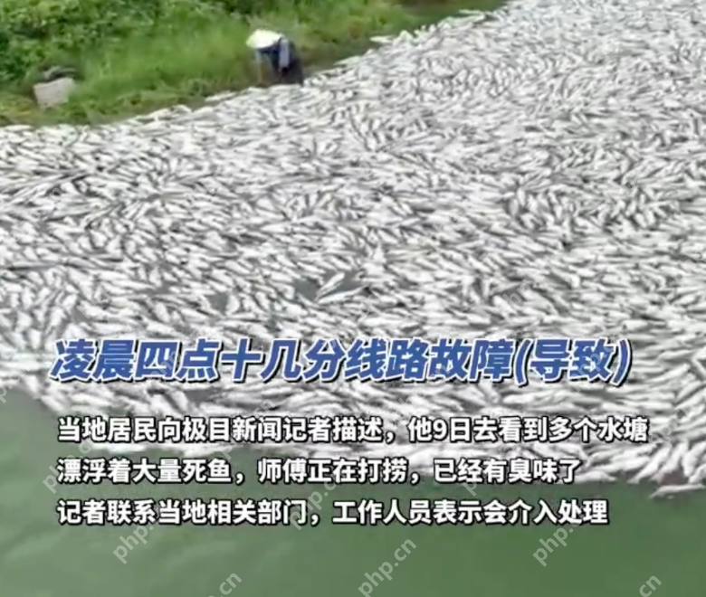广西一水产公司大量鱼类死亡：十几万斤鱼死亡白花花铺满鱼塘 - php中文网