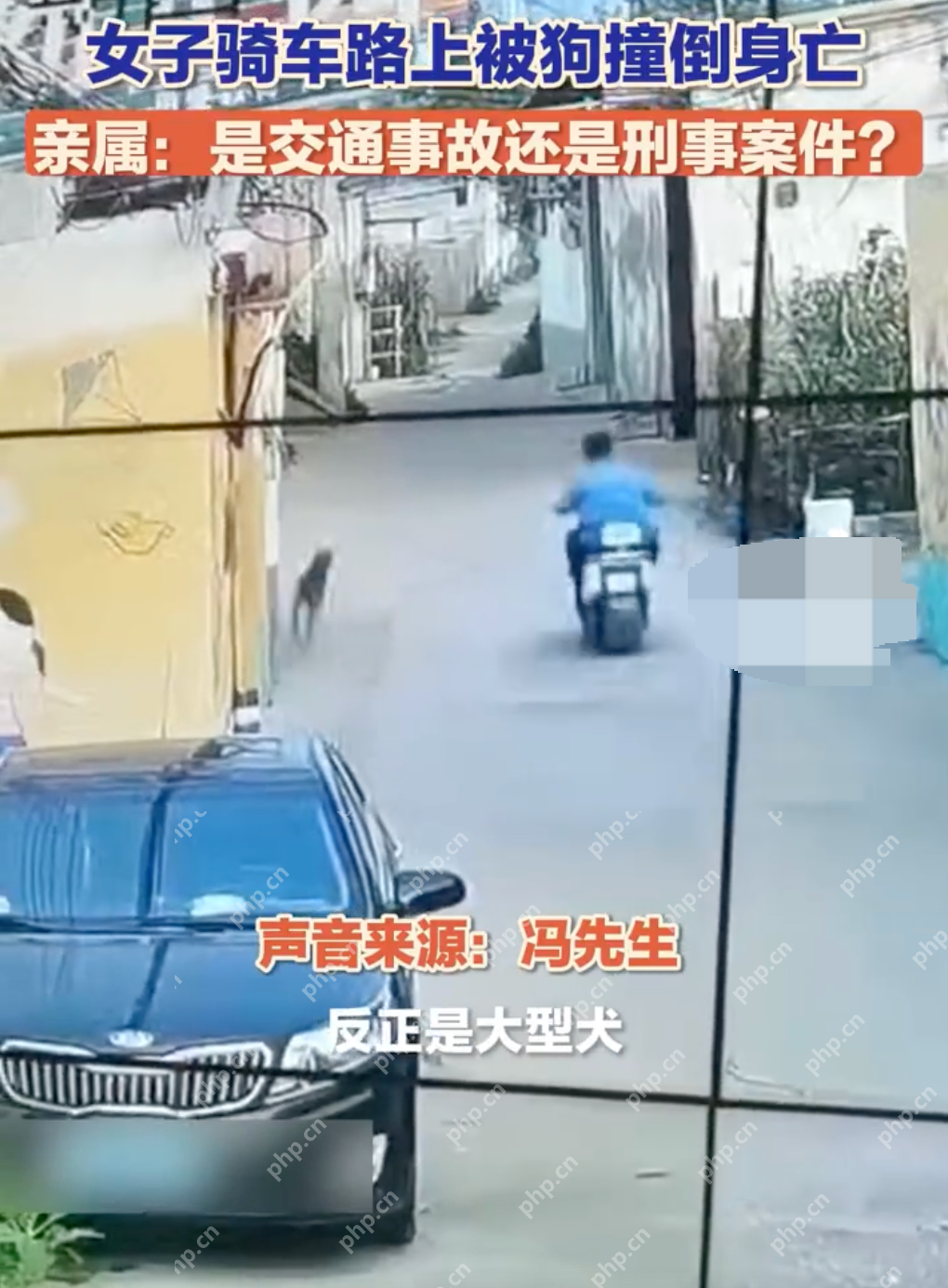 未拴绳大狗撞倒女子致其当场死亡:目前一直没有结果 - php中文网