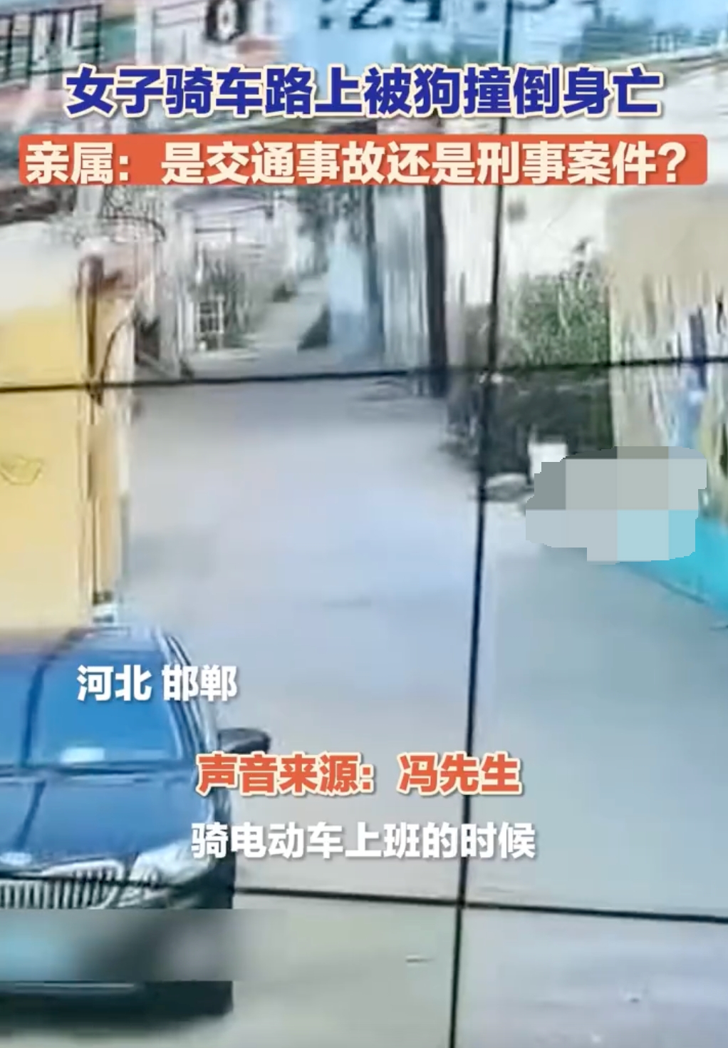 河北一女子骑车路上被狗撞倒身亡是怎么回事?详情介绍 - php中文网