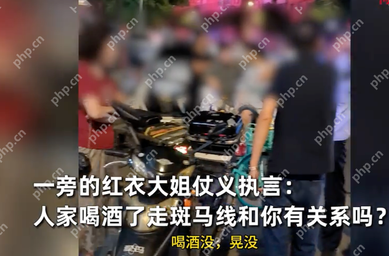 沈阳街头碰撞：老两口撞人后拒不道歉反指责被撞男子喝酒了 - php中文网