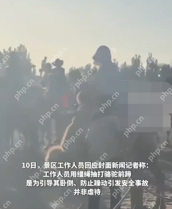 游客拍骆驼挨打被要求删视频是怎么回事？详情介绍 - php中文网