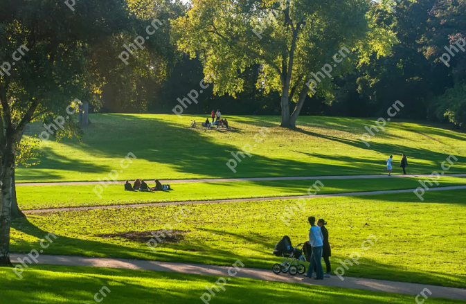 过度防晒的代价:当“美白”遇上骨质疏松 - php中文网