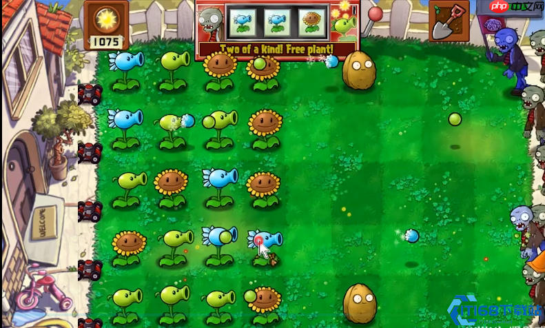植物大战僵尸95版终极攻略:疯狂难度下的生存艺术