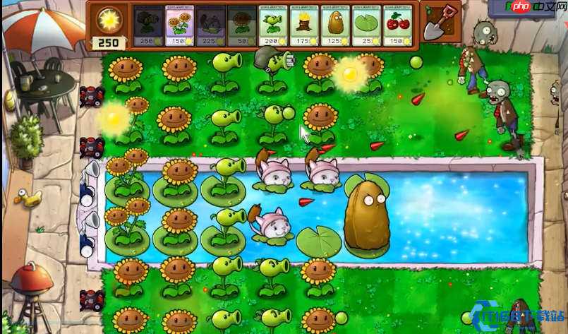 十字阵终极攻略:54关红眼巨人克星手册