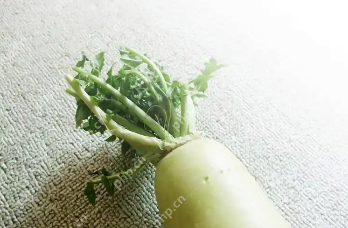 告别浪费：超实用的家庭常见蔬菜保鲜技巧大全 - php中文网