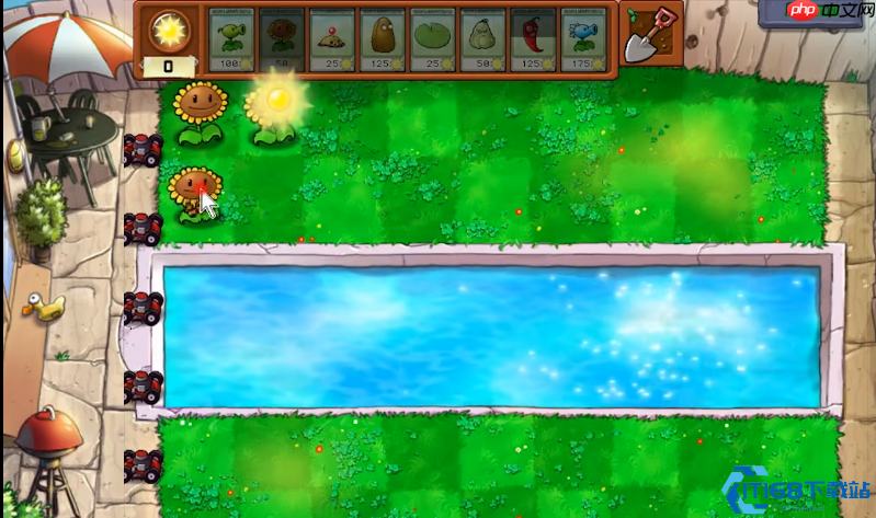 植物大战僵尸39关终极攻略：阳光管理与僵尸克星全解析