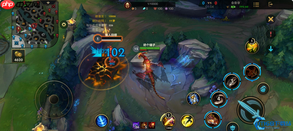 龙血武姬希瓦娜开局制胜秘诀:一级W点燃野区之路