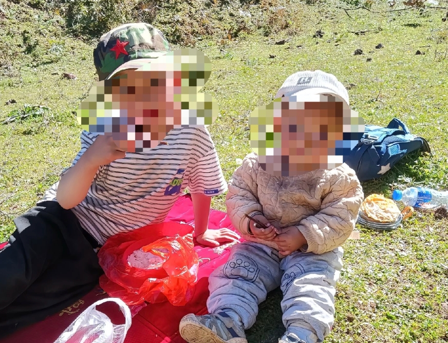 兄妹被胡蜂蜇亡全身伤口达700个是怎么回事？详情介绍 - php中文网