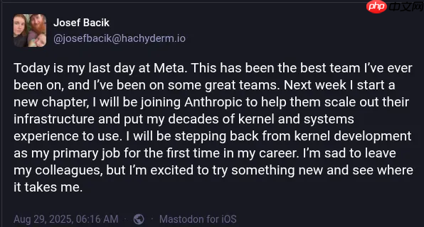 Linux 文件系统 Btrfs 长期贡献者退出内核项目,加入Anthropic