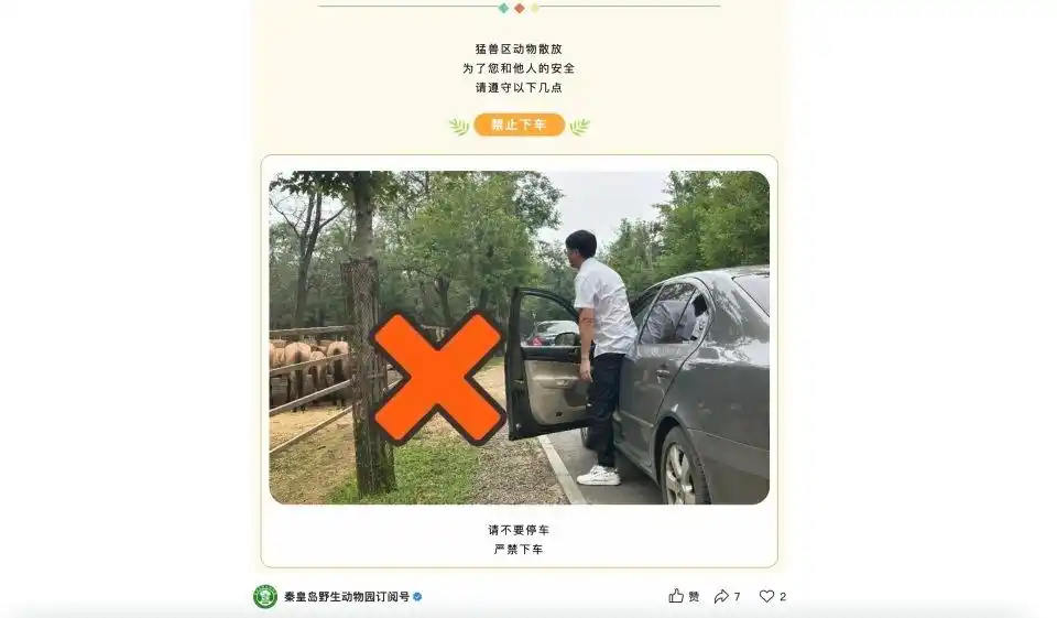 两车在秦皇岛野生动物园猛兽区发生剐蹭，多名游客下车当着老虎面吵架 - php中文网