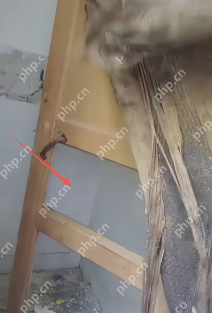 教育局回应中学宿舍像荒野求生基地：已问责校长 - php中文网