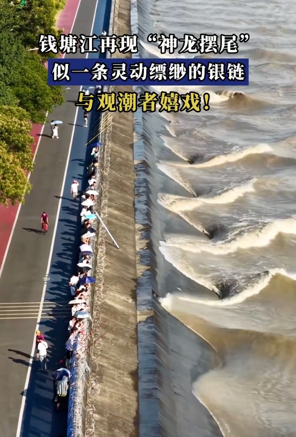 钱塘江再现“神龙摆尾”是怎么回事?详情介绍 - php中文网