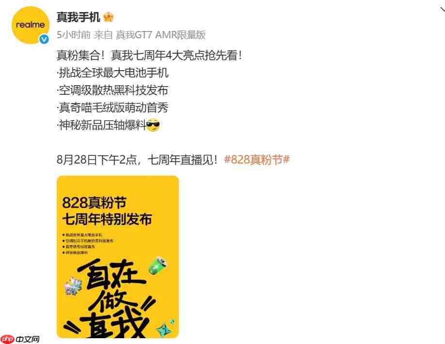 10000mAh手机要来了吗？真我公布828真粉节亮点