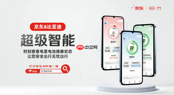 比亚迪电池与京东汽车达成合作，上线全网首家官方店铺