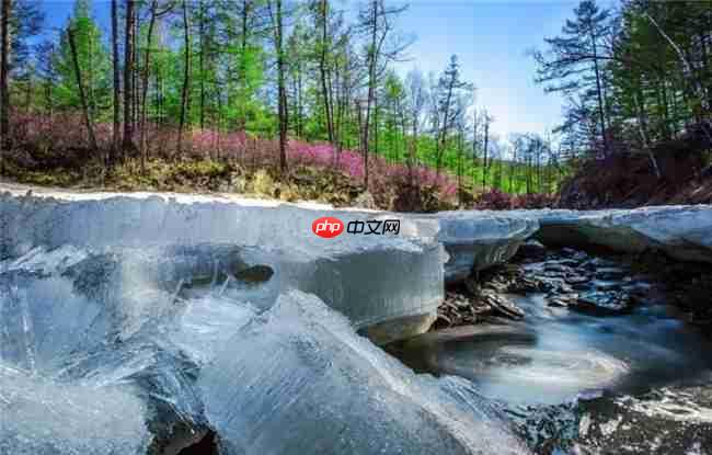 全国目光锁定阿尔山！这场大会为何选在这里？