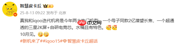 iQOO 15新机有望10月发布:三星2K屏和自研电竞心片
