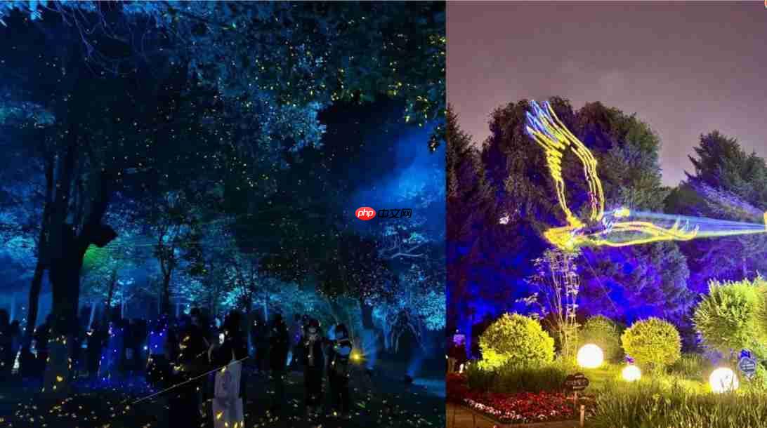 额济纳“昼赏胡杨夜游星河”全时体验即将开启