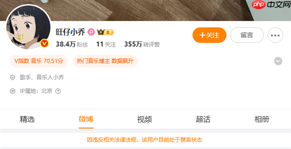 蒙面演唱会引争议 网红旺仔小乔微博被禁言、抖音禁止关注