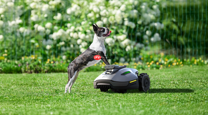 零安装割草时代，库犸Mammotion发布三目视觉割草机器人