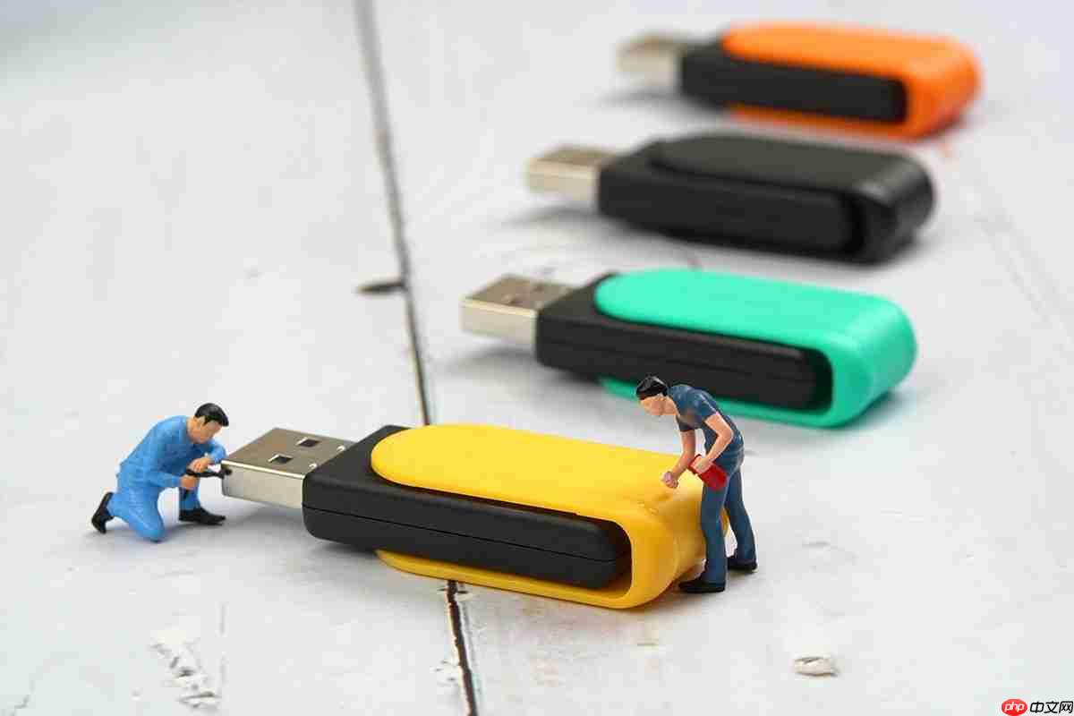 承载每一个闪光瞬间金士顿高速闪存盘