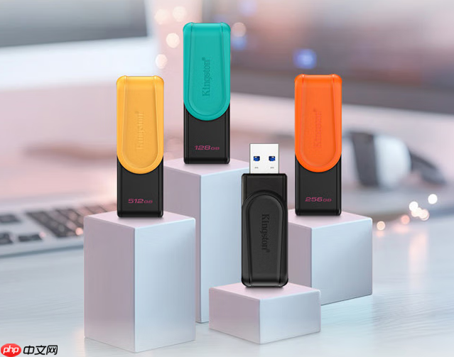 承载每一个闪光瞬间金士顿高速闪存盘