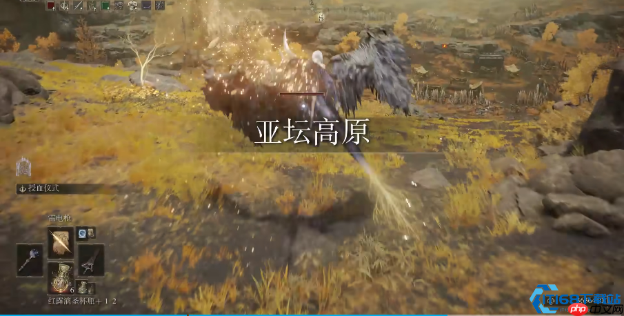 萌宠变战神:零氪党必备战力养成全攻略